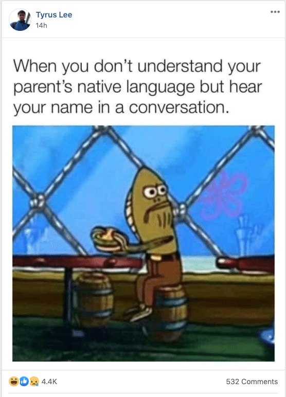 Subtle Asian Traits