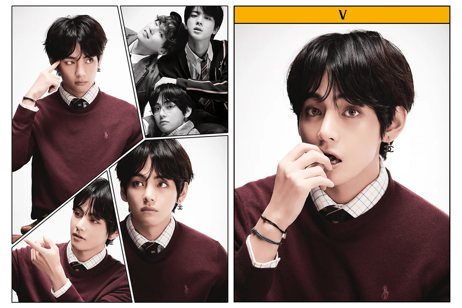 Guide to BTS V