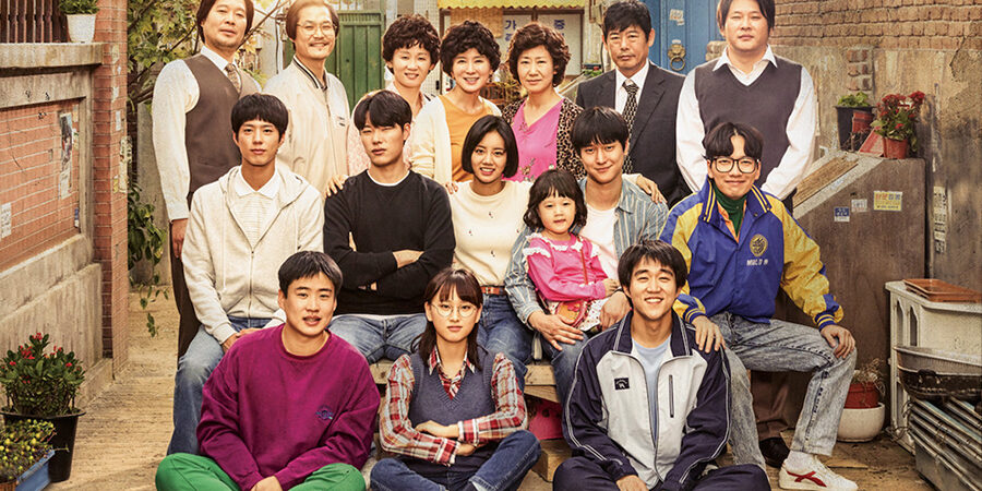 reply 1988 review