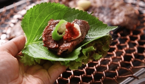 bulgogi wrap
