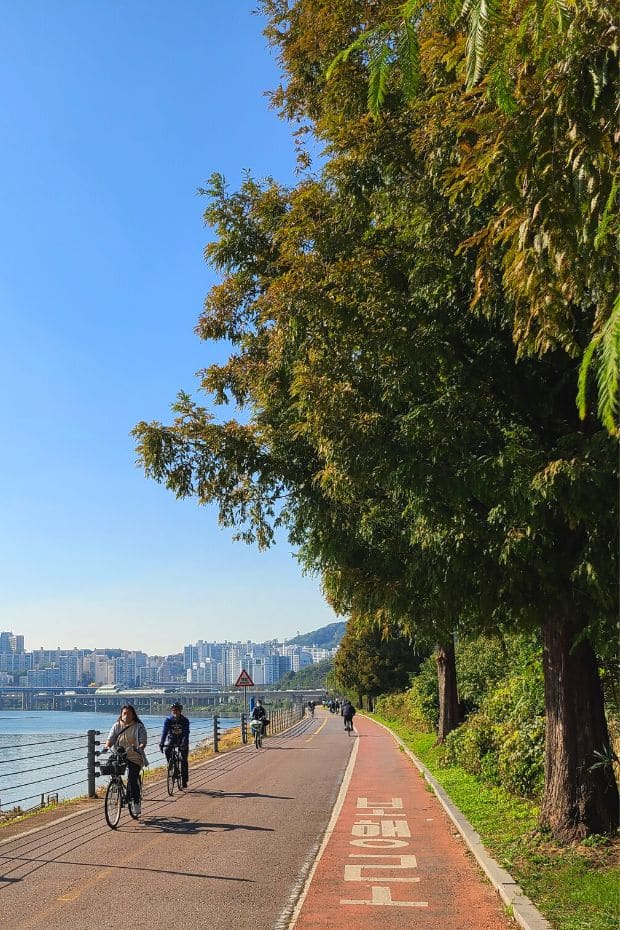 Han River Outside Seoul Forest