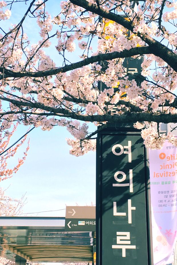 Yeouido Island A Beautiful Place In Seoul 1