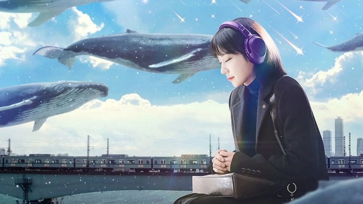 extraordinary attorney woo