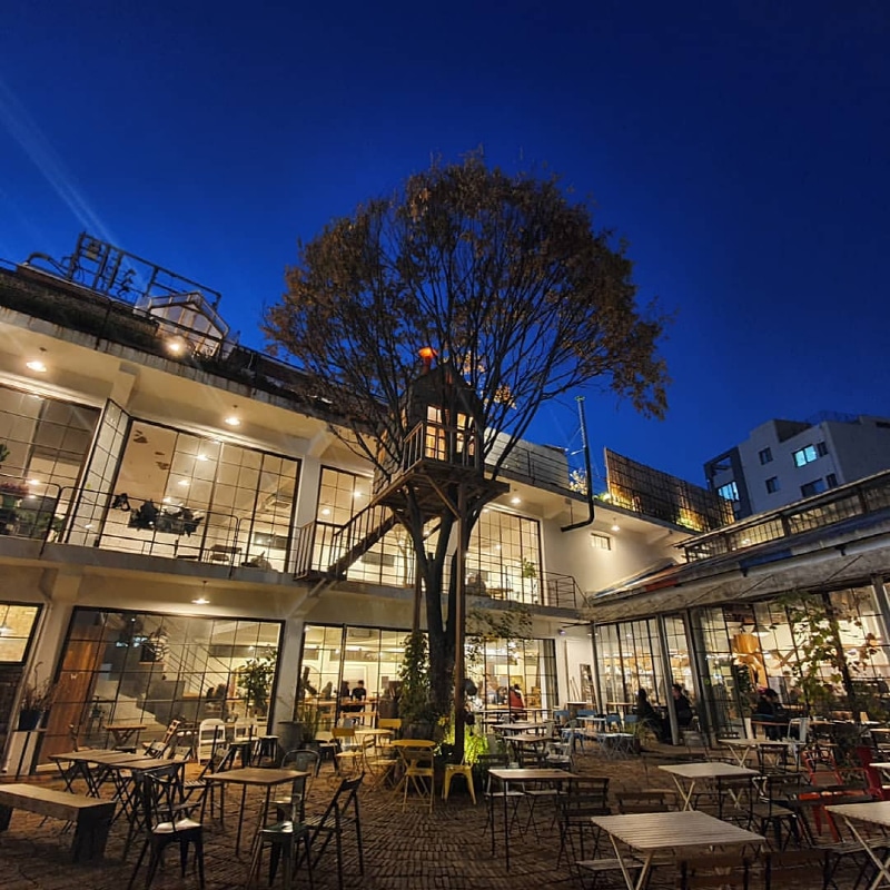 cool things to do in seoul
