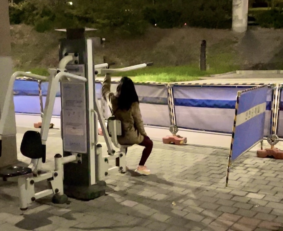 seoul free outdoor exercise equipment